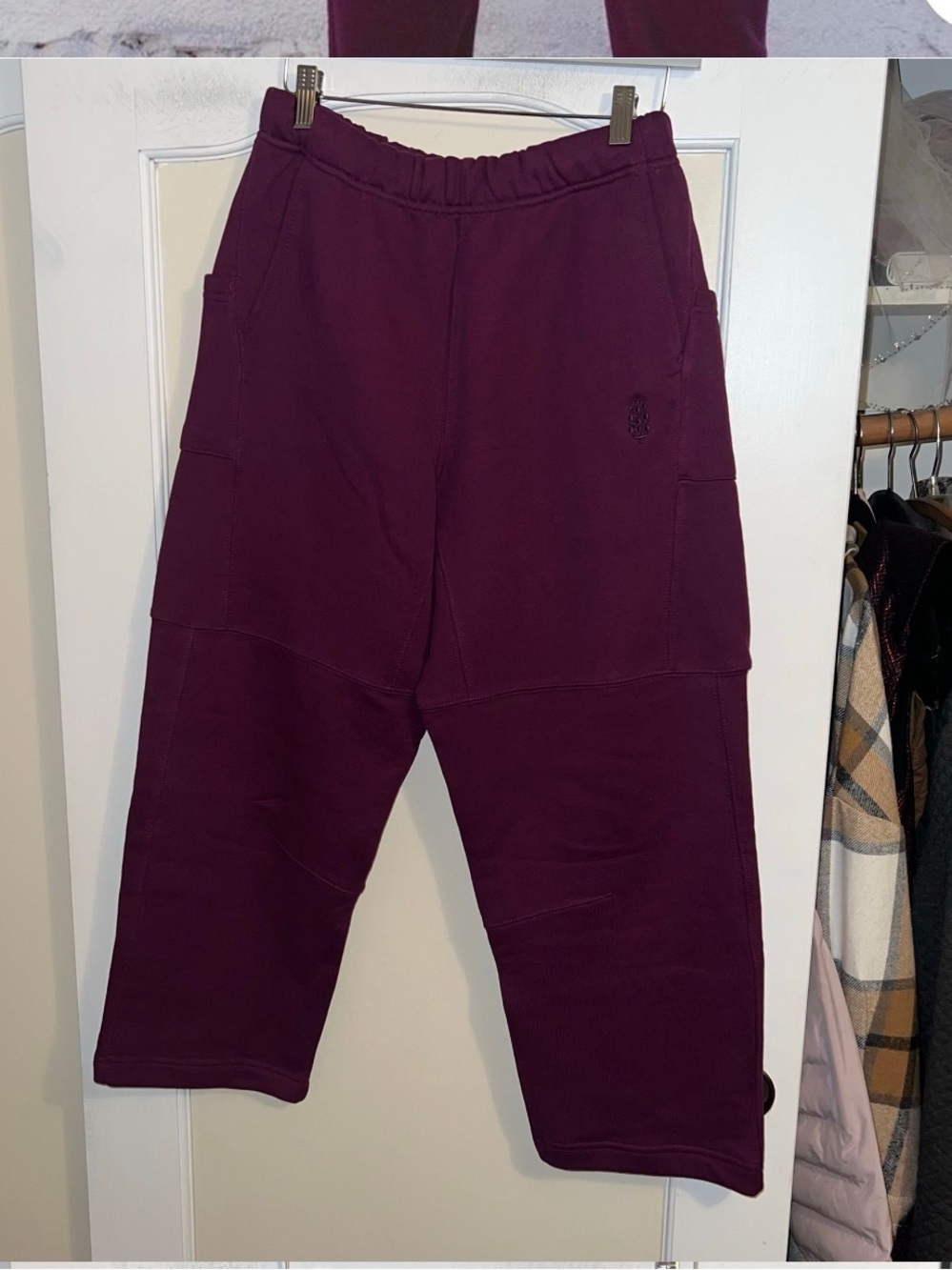 Free People Movement Top Notch Barrel Sweatpants in Mulberry - Picture 4 of 5